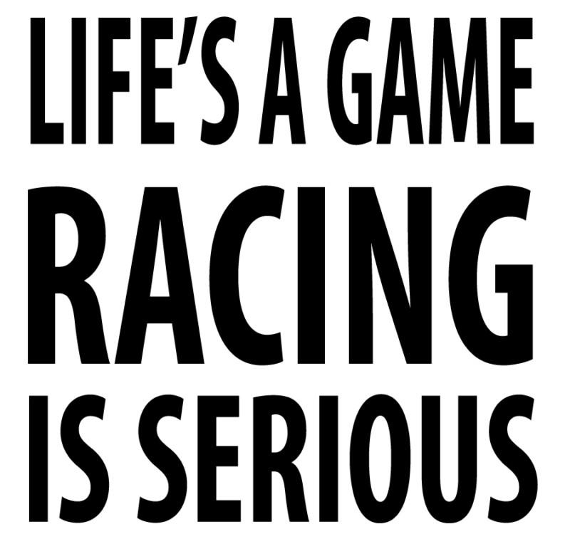 Life racing game funny decal laptop car window vinyl sticker free usps shipping
