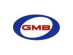 Gmb 725-0021 front hub assembly