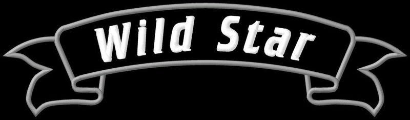 Yamaha wild star banner xl xv 1600 xv1600 1700 patch