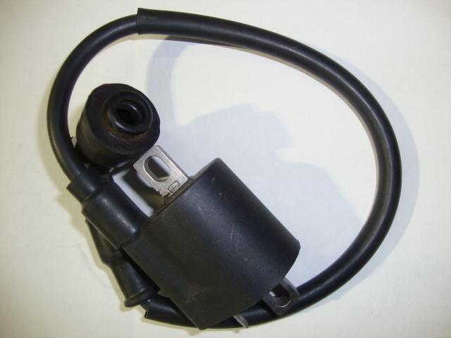 Ignition coil for 150cc 250cc chinese sunl taotao buyang roketa eagle ''