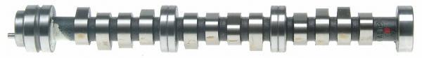 Sealed power camshaft cs1503