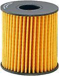 Fram ch10066 oil filter