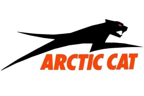 Oem arctic cat aircat 24&#034; orange decal sticker 4299-730