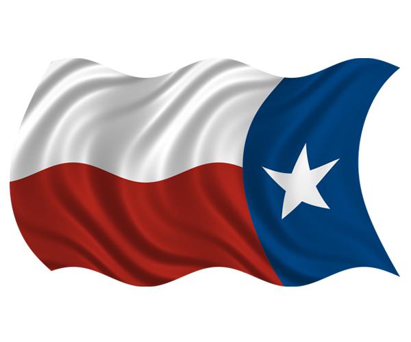 Texas state waving flag decal 5"x3" tx american usa vinyl car sticker (lh) zu1