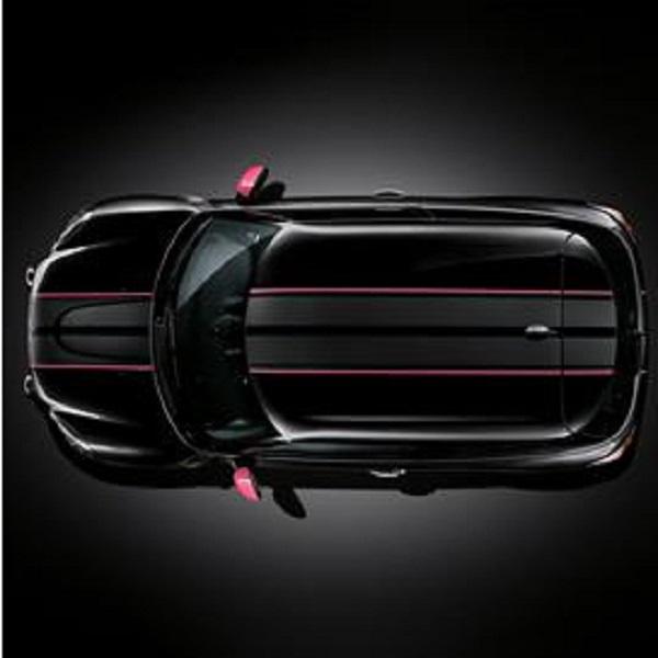 Mini cooper countryman black shocking pink ray sport side stripes new oem