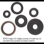 2091122 winderosa 822346 oil seal set