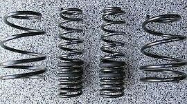 Evo x stock suspension springs