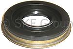 Skf 13627 output seal, tcase