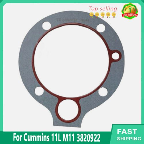 3820922 4952625 new for cummins 11l m11 air compressor gasket