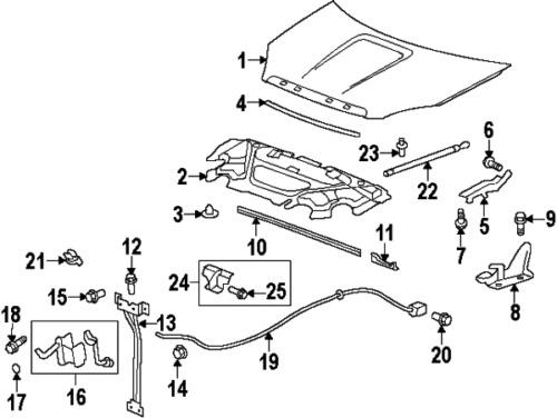 Gmc 11589294 genuine oem factory original sight shield retainer