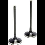 2112122 kpmi 80-80075 intake valve black diamond ss (center) wr/yz250f '01-11