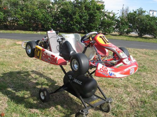 Birel racing kart