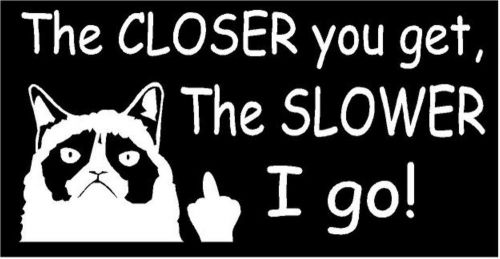 Grumpy cat-&#034;the closer you get...&#034; funny tailgater sticker decal -free shipping!