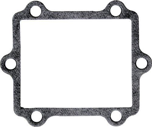 V-force gasket