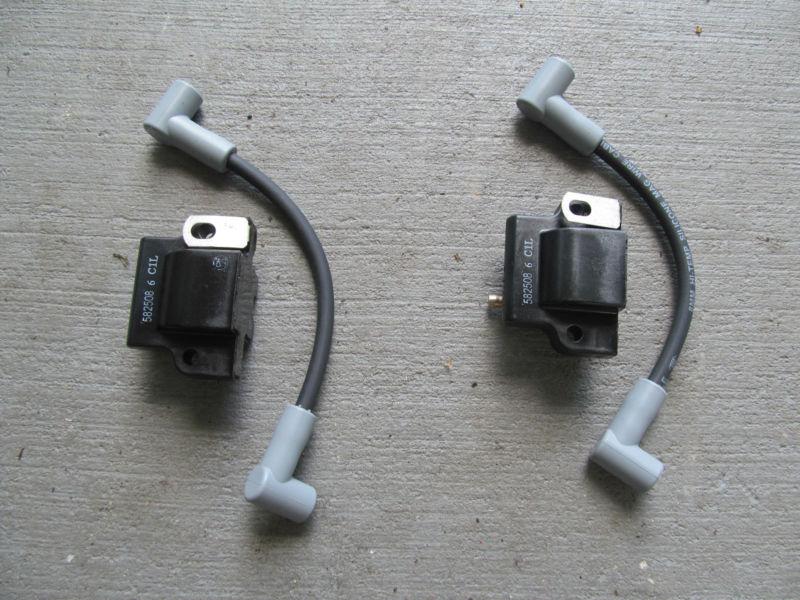 Evinrude 15 hp outboard motor              ( ignition coils )