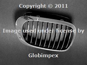 Bmw e46 (00-03) grille kidney right chrome genuine new + 1 year warranty