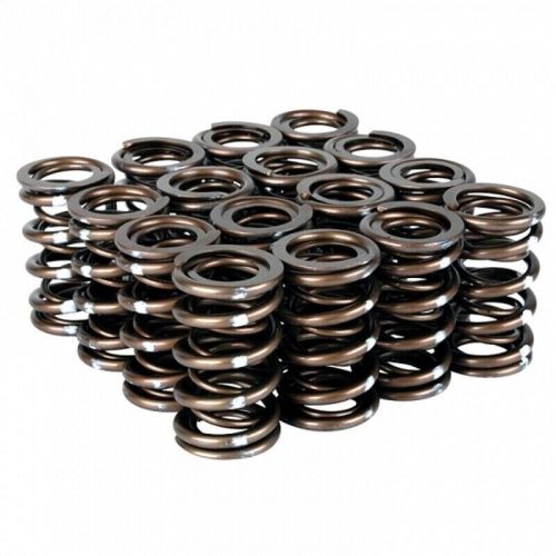 Skunk2 racing 311-05-7380 pro series xp valve spring set