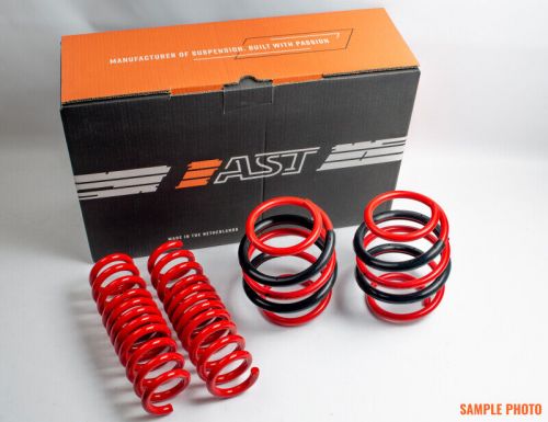 Ast suspension for 2018+ tesla model 3 long range awd lowering springs