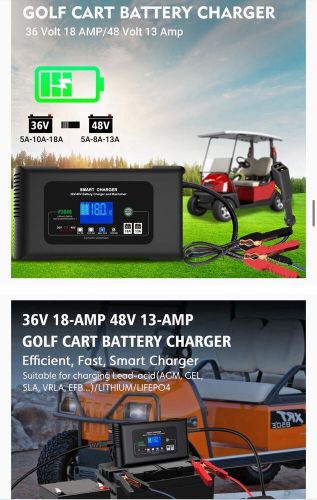 Golf cart charger