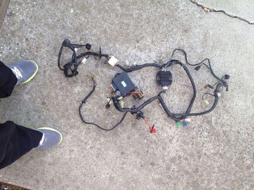 Yamaha r1 wiring harness