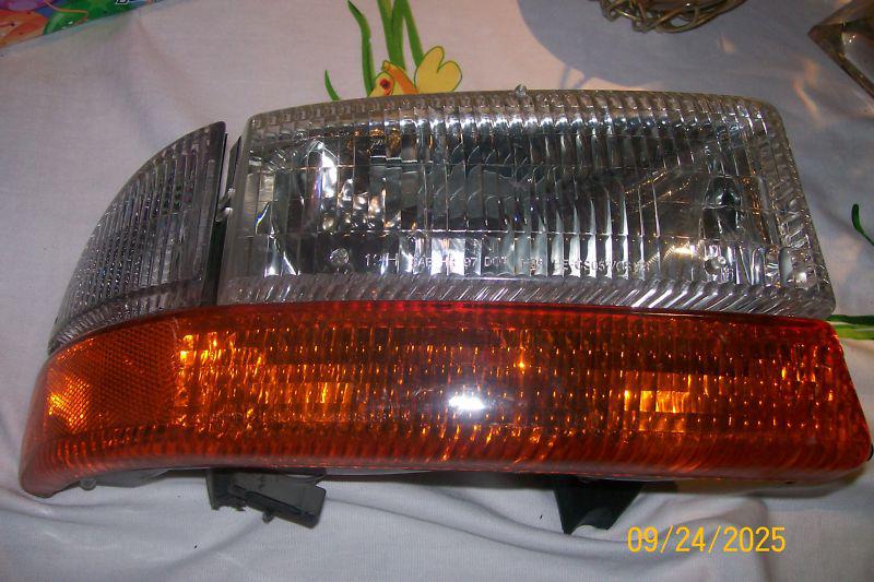 Headlight and blinker assembly