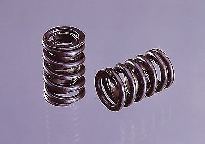 Crane single valve springs cc-99848-12