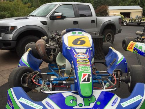 2009 gp racing cr 125 shifter kart (2)