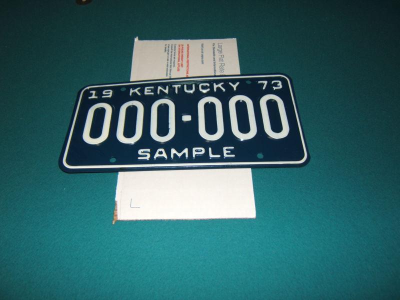 Rare vintage kentucky license plate sample~seldom seen~nice 1973~ 