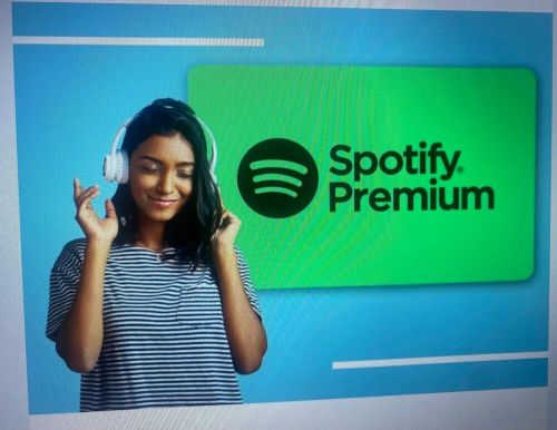 Spotify premium 12 months