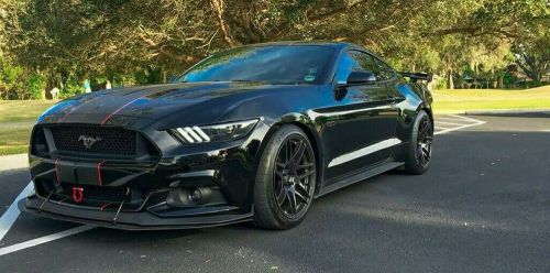 Front splitter  2015-2017 mustang non pp gt, v6 &amp; ecoboost w/ 2 rods