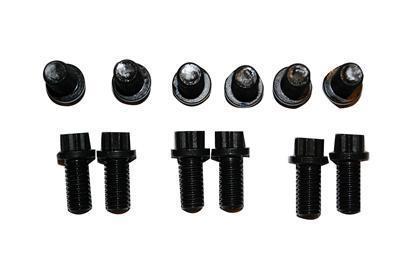 Kook's header fastener kit flange bolts 12-point steel black set of 16