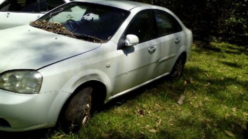 2006 holden viva  passengers front door trim #c270