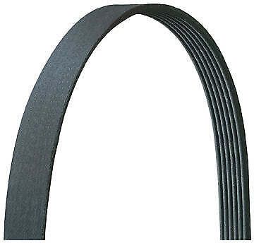 Dayco 5060715dr v-ribbed belt