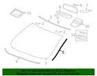 Genuine honda side molding 73125-tba-a01