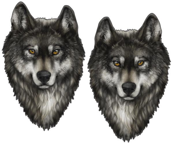 Gray wolf decal set 4"x2.5" lone wolves alaska timber car vinyl sticker w1 zu1