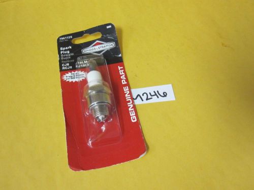 Briggs &amp; stratton spark plug 796112s