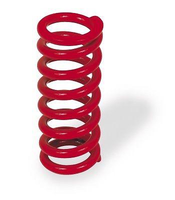 Bbr motorsports heavy-duty shock spring 660-hcr-8005