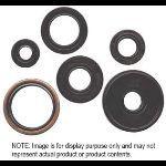 8091122 winderosa 822357 oil seal kit dirt