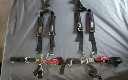 Crow 4-point harness