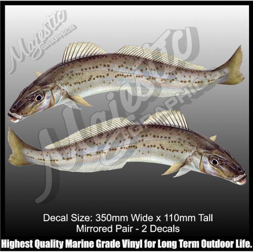 King george whiting - 350mm x 110mm - mirrored pair - boat decals