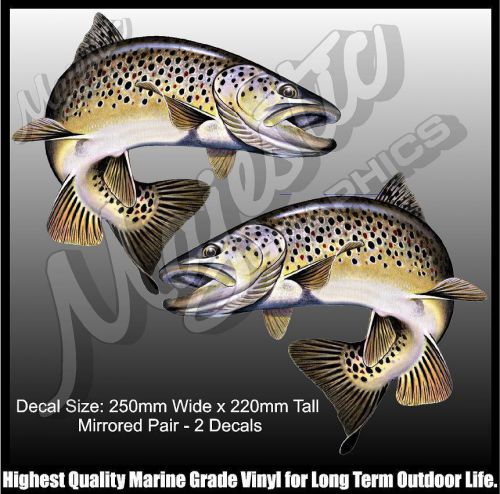 Brown trout - 250mm x 220mm - mirrored pair - boat decals