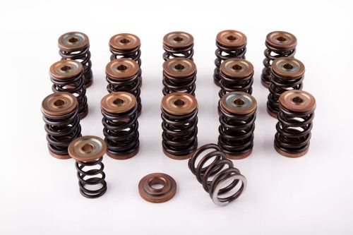 K20/24a/z 1,3  f20/22c   dual valve springs set with retainers - nj performance