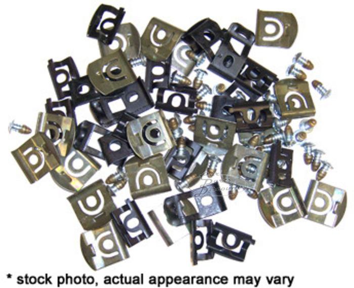 Windshield molding clips/screws - 20pc