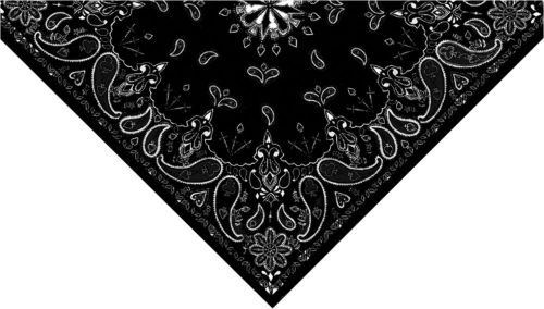 Zanheadgear 3-in-1 bandanna black paisley - bv001