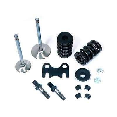 Dart cylinder head parts kit valves/springs/hardware sbc p/n 28111000