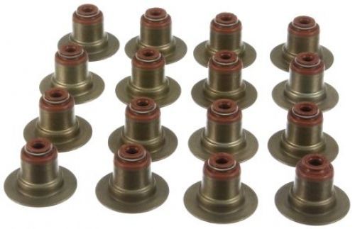 Victor reinz valve stem seal kit