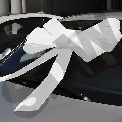 Giant windshield bow white