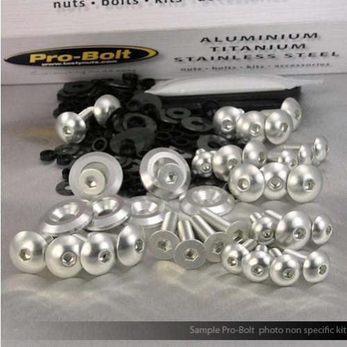 Pro bolt fairing aluminum bolt kit - silver  fsu095-s