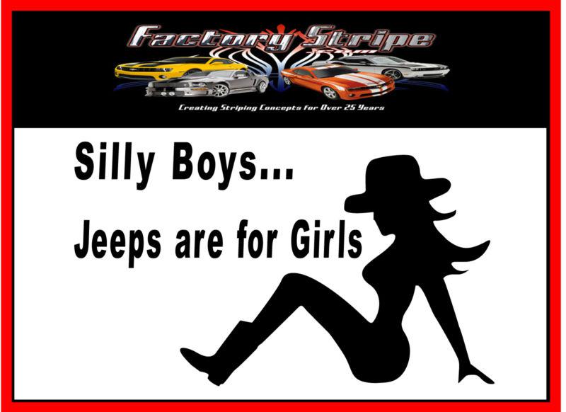 Jeep wrangler stripes window  sticker 12w x 7h silly boys.. factory stripe