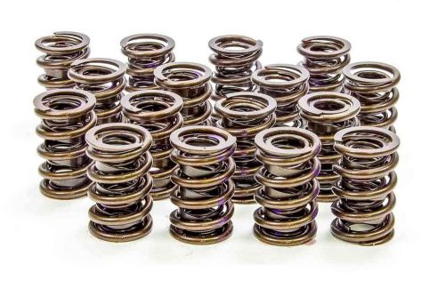 Isky dual spring/damper valve spring 1.510 in od 16 pc p/n 8305